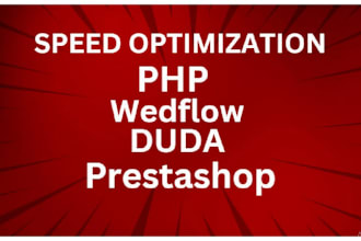 increase your webflow prestashop duda speed according to google pagespeed