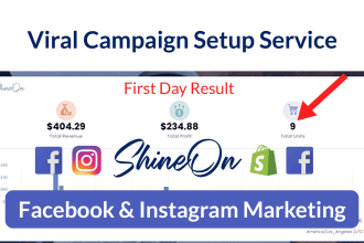 run shineon facebook ads for jewelry, shineon necklace marketing, fb advertising