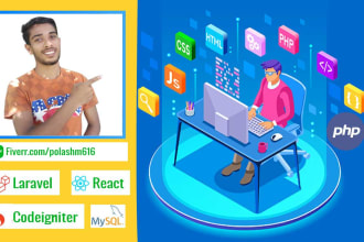 do bugs fix in laravel or codeigniter or reactjs scripts