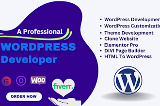 do professional wordpress website development and customization