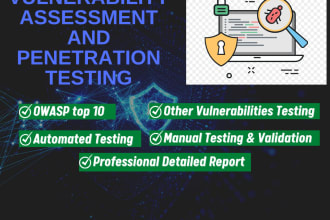 do vulnerability assessment and penetration testing with a professional report