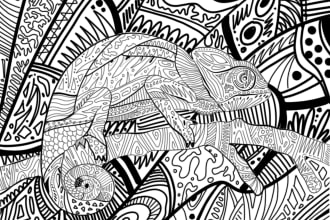 draw outline for coloring book and intricate linework
