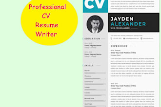 write your professional resume CV