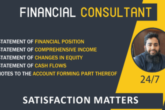 prepare financial statements, profit loss, balance sheet, cash flows and ratio