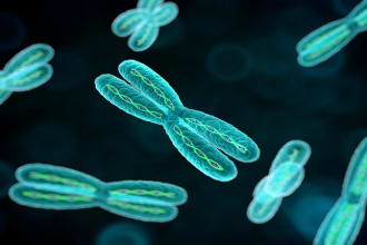 solve questions on genetics , molecular biology biochemistry