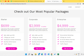 create a pro wordpress website with a payment method setup