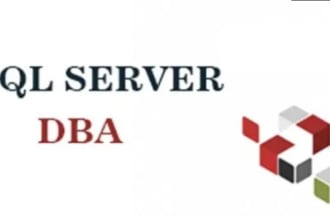 remotely provide sql server dba support
