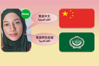 manually translate chinese mandarin to arabic