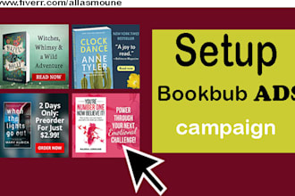 set up a bookbub ads campaign and promote your book