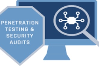 perform a pentest and security audit