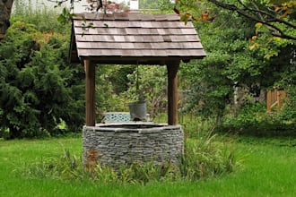 toss your wish in the well