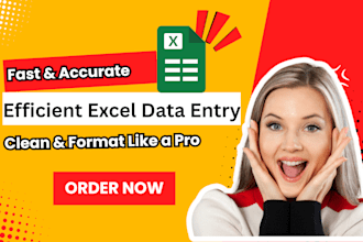 offer efficient excel data entry, cleaning, and formatting