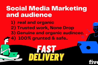 grow your youtube instagram  tiktok page and post business