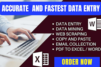be data scrapper, accurate and fastest data entry clerk