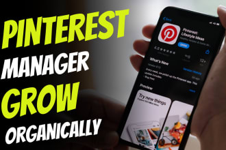 optimize and manage your pinterest account and grow business