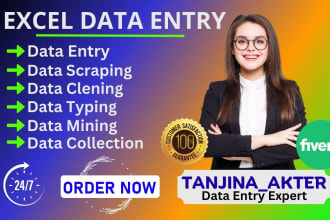 do excel data entry, copy paste, and web research