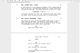write your screenplay, outline, or pitch doc