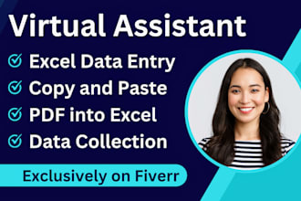 do data entry, data mining, data collection, copy paste, and web research