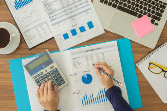prepare financial statements and provide financial consultancy