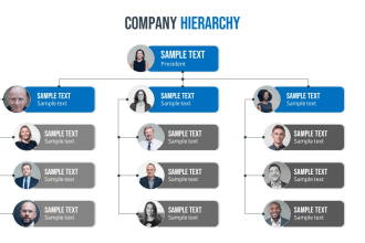 24 Best organizational chart Services To Buy Online | Fiverr