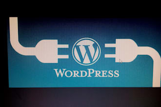 fix any technical issue of wordpress website