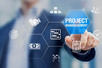 do project management, ms project, excel, power point