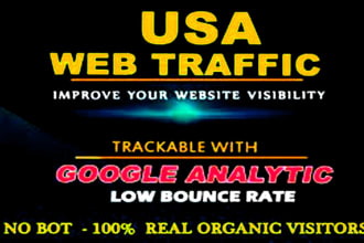 increase your website traffic using real USA  web visitors