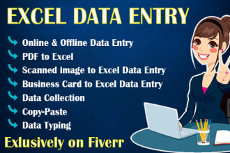 do fastest and accurate excel, word data entry, data entry in 24hr