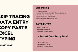 do excel data entry, web research, ,copy paste, skip tracing