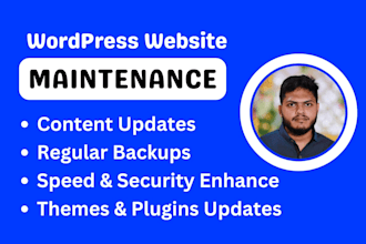 provide wordpress maintenance, updates and support