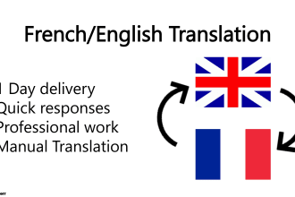provide professional translation french english