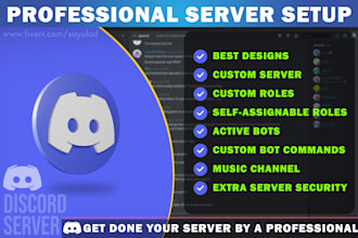 setup professional custom discord server with best design