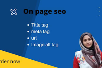 do technical onsite or on page SEO packages for website rank
