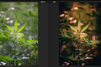 do bulk photo editing in lightroom