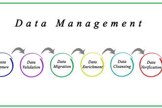 do data entry and data enhancement service