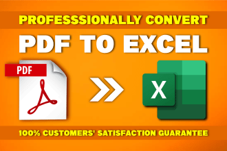 do excel data entry, data typing, convert pdf to excel document