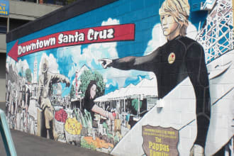 take 25 pictures of downtown Santa Cruz