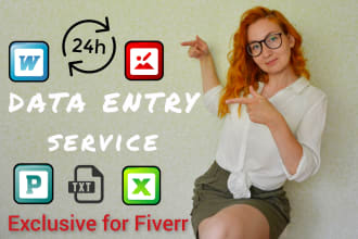 do data entry, copy paste, web research, excel, web scraping