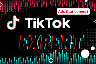 setup and manage your tik tok marketing tiktok ads manager