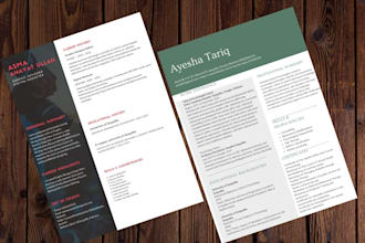 provide resume or CV editing writing service