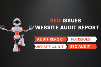 do comprehensive website audit and fix seo audit issues