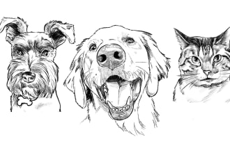 draw a stylish pet sketch in same day