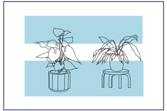 create line art illustration botanical,flower beautifully