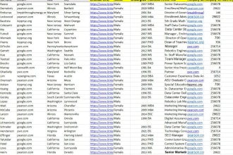 be your virtual assistant for web research, data entry