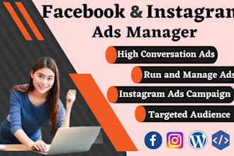 be your facebook and instagram ads campaign manager