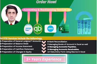 create your excel spreadsheet and prepare accounts on excel,qb,sap,xero
