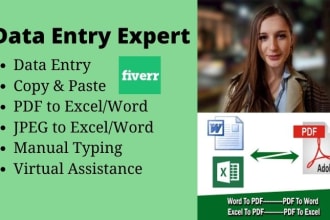 do excel data entry and converting pdfs to excel or word