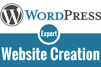 create pro wordpress website