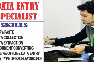 do data input, data collection, data conversion, composing