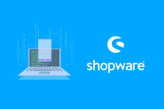 develop custom shopware plugins, themes, and fix bugs